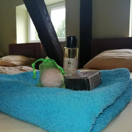 Dom Zdrojowy W Jedlinie Zdroju 아파트호텔 예들리나-즈드로이