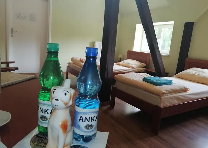 Dom Zdrojowy W Jedlinie Zdroju *