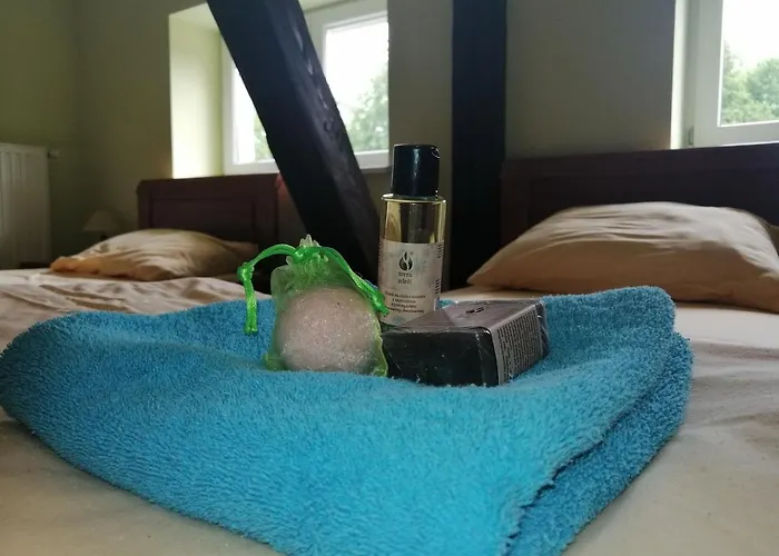 Dom Zdrojowy W Jedlinie Zdroju Aparthotel Jedlina-Zdroj